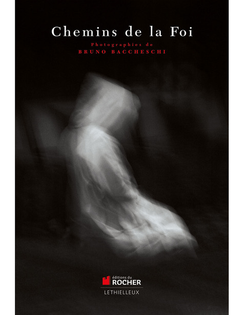 Cover image for book Les chemins de la foi