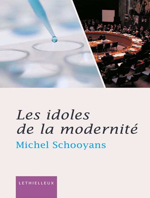 Cover image for book Les idoles de la modernité