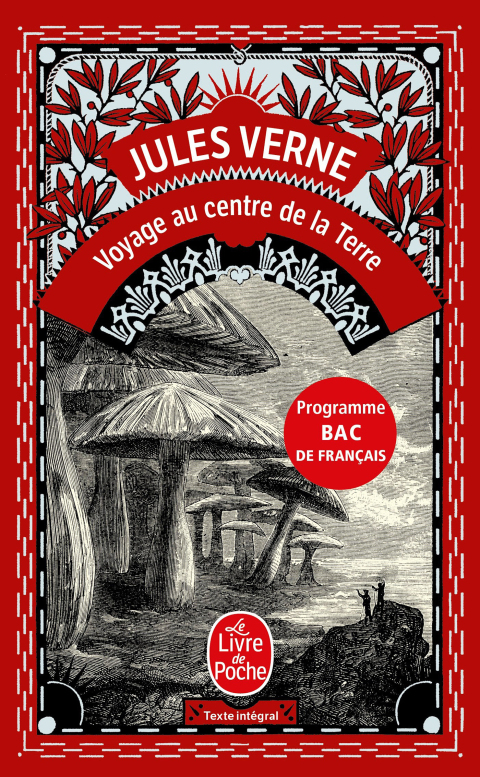 Cover image for book Voyage au centre de la terre