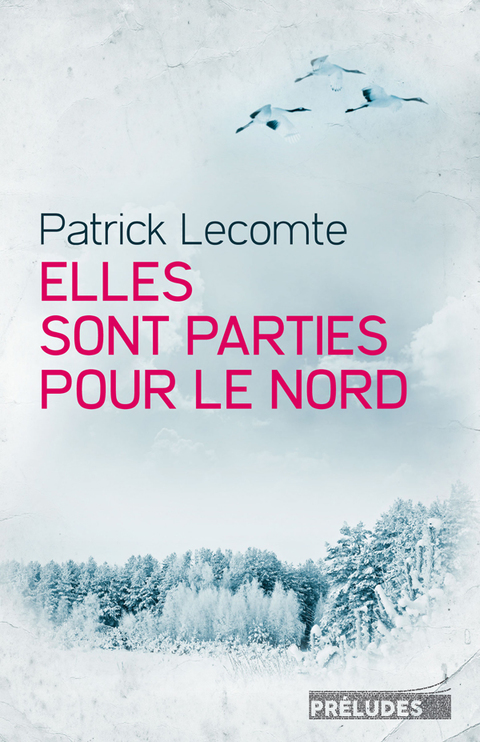 Cover image for book Elles sont parties pour le Nord