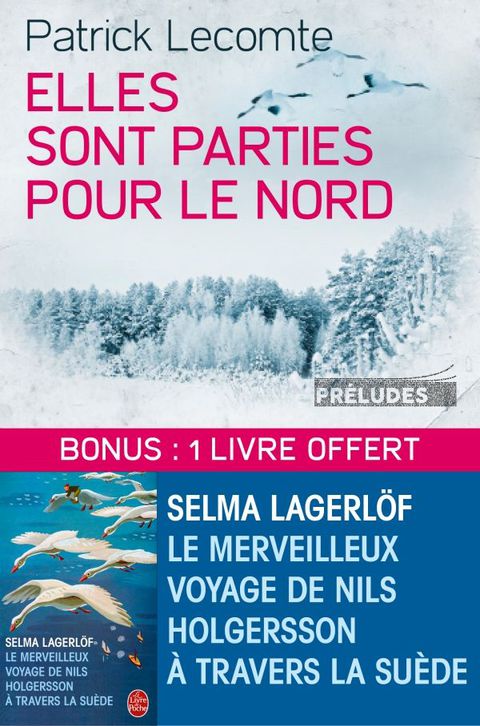 Cover image for book Elles sont parties pour le Nord suivi de Le Merveilleux voyage de Nils Holgersson à travers la Suède