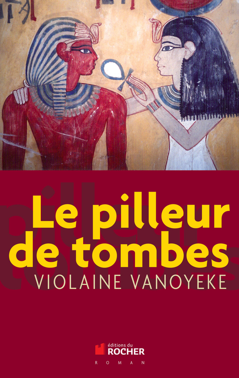Cover image for book Le pilleur de tombes