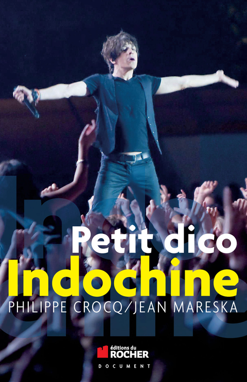 Cover image for book Petit dico Indochine