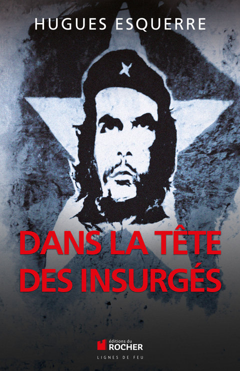 Cover image for book Dans la tête des insurgés