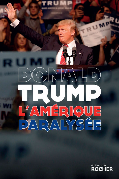 Cover image for book L'Amérique paralysée