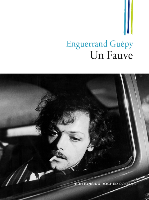 Cover image for book Un Fauve