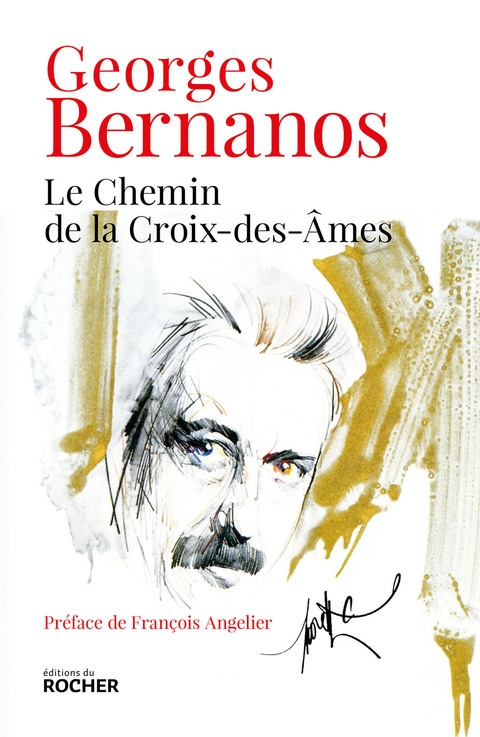 Cover image for book Le Chemin de la Croix-des-Âmes