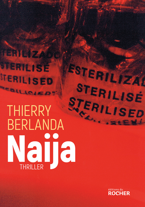 Cover image for book Naija
