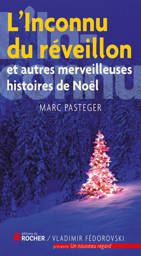 Cover image for book L'inconnu du réveillon