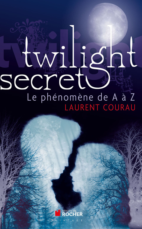 Cover image for book Twilight secret