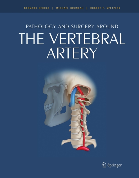 Cover image for book Pathology and surgery around the vertebral artery