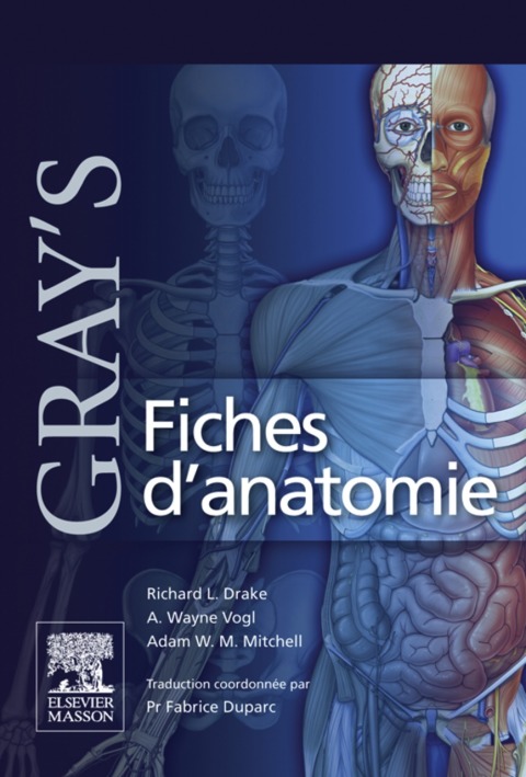 Gray's Fiches d'anatomie 