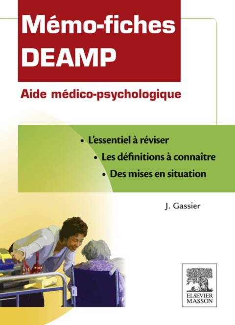 Cover image for book Mémo-fiches DEAMP