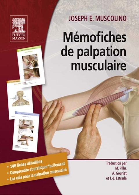 Cover image for book Mémofiches de palpation musculaire