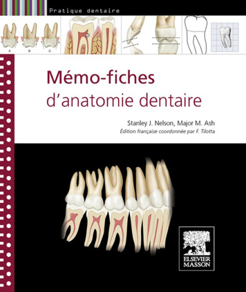 Cover image for book Mémo-fiches d'anatomie dentaire