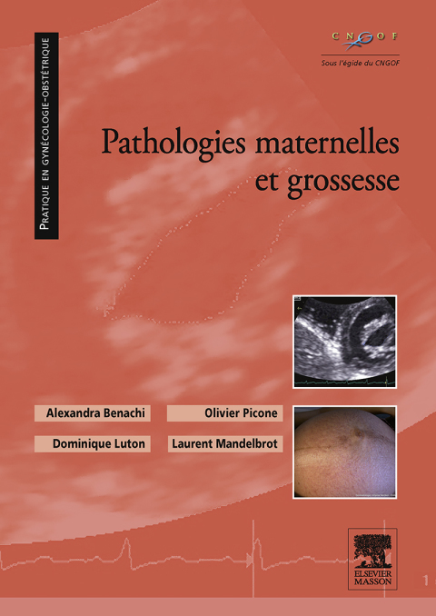 Cover image for book Pathologies maternelles et grossesse