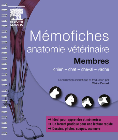 Cover image for book Mémofiches anatomie vétérinaire - Membres