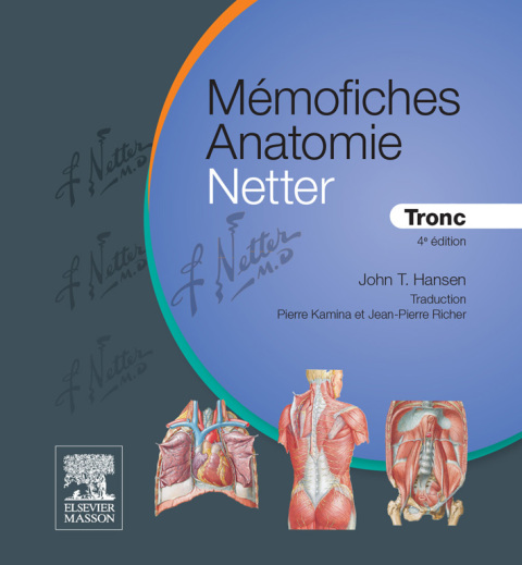 Cover image for book Mémofiches Anatomie Netter - Tronc
