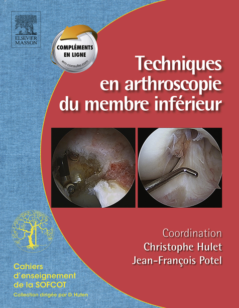 Cover image for book Techniques en arthroscopie du membre inférieur
