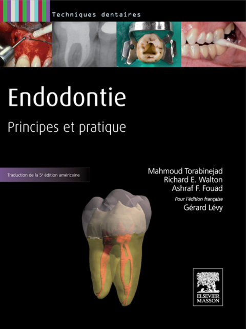 Cover image for book Endodontie