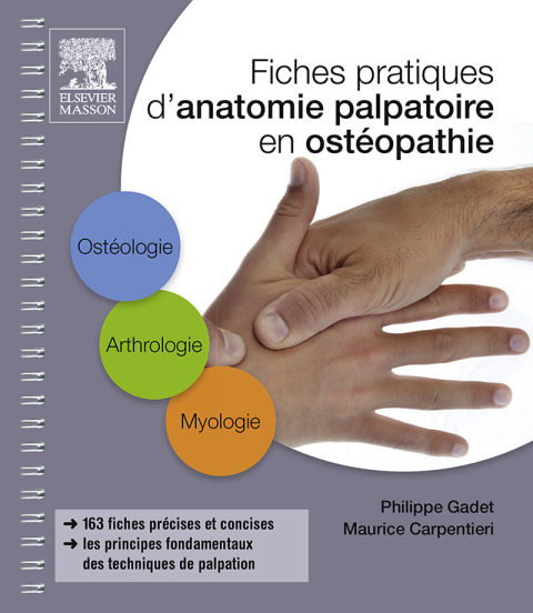 Cover image for book Fiches pratiques d'anatomie palpatoire en ostéopathie