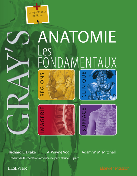 Gray's Anatomie - Les fondamentaux 