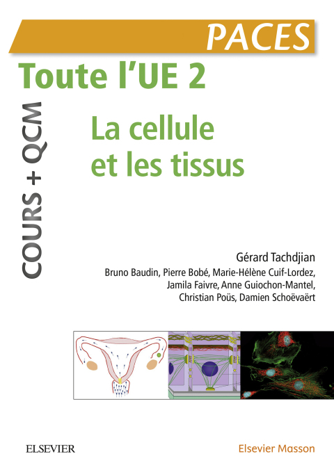 Cover image for book Toute l'UE 2 - Cours + QCM