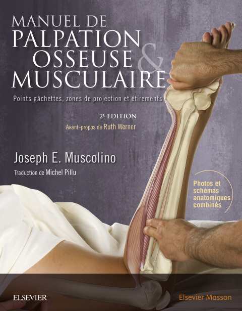 Cover image for book Manuel de palpation osseuse et musculaire, 2e édition