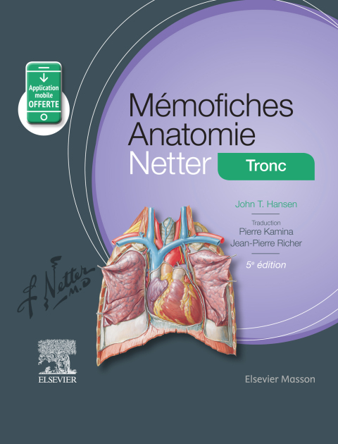 Cover image for book Mémofiches Anatomie Netter - Tronc