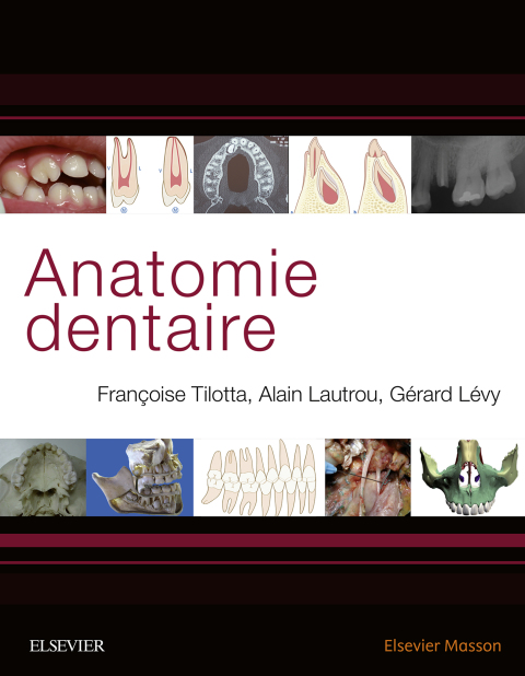 Cover image for book Anatomie dentaire