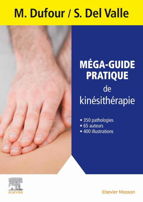 Cover image for book Méga-guide pratique de kinésithérapie