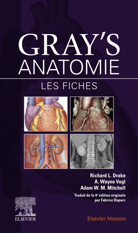 Gray's Anatomie - Les fiches 