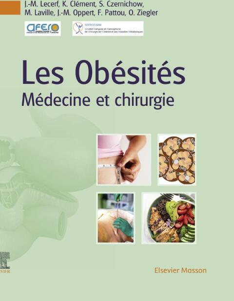 Cover image for book Les Obésités