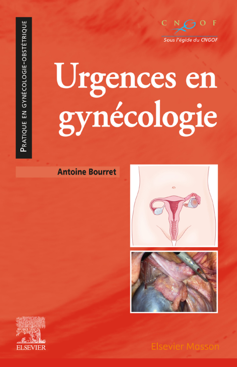 Cover image for book Urgences en gynécologie