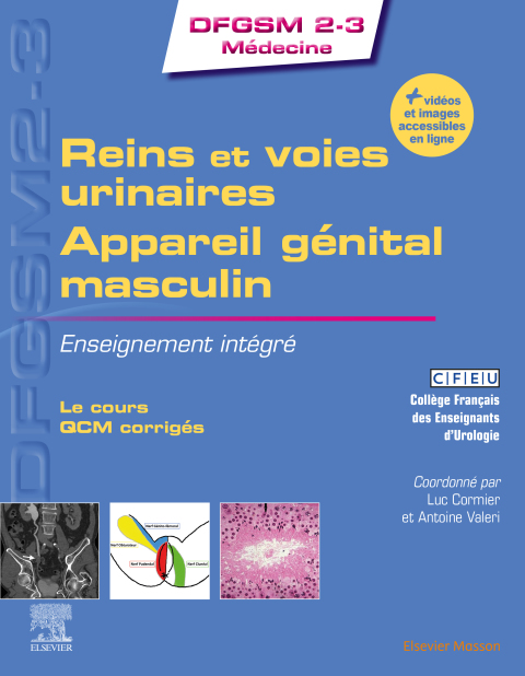 Cover image for book Reins et voies urinaires - Appareil génital masculin