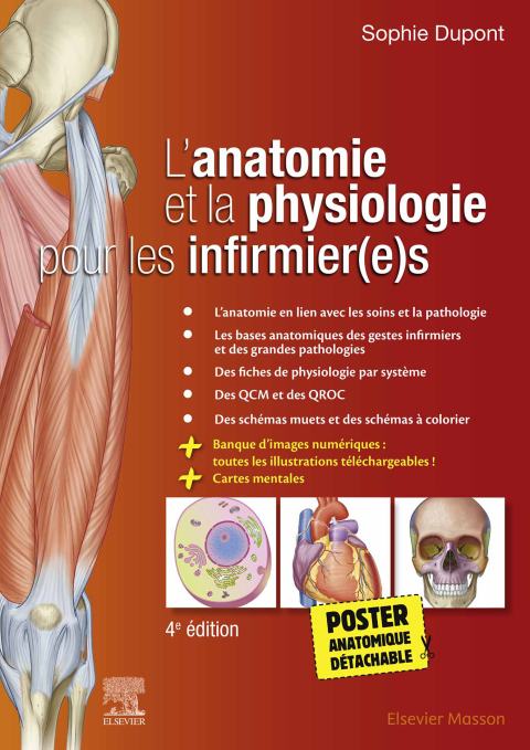 Cover image for book L'anatomie et la physiologie pour les infirmier(e)s