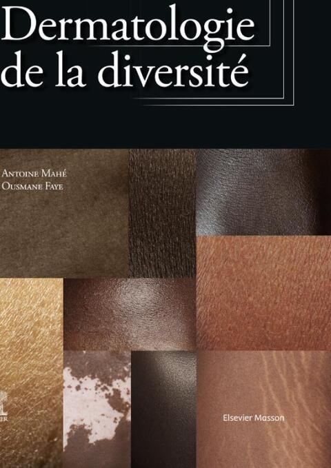 Cover image for book Dermatologie de la diversité