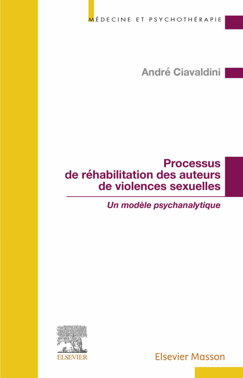 Cover image for book Processus de réhabilitation des auteurs de violences sexuelles