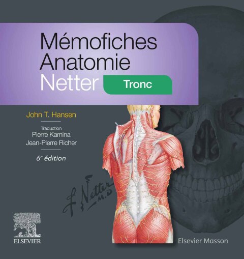 Cover image for book Mémofiches Anatomie Netter - Tronc