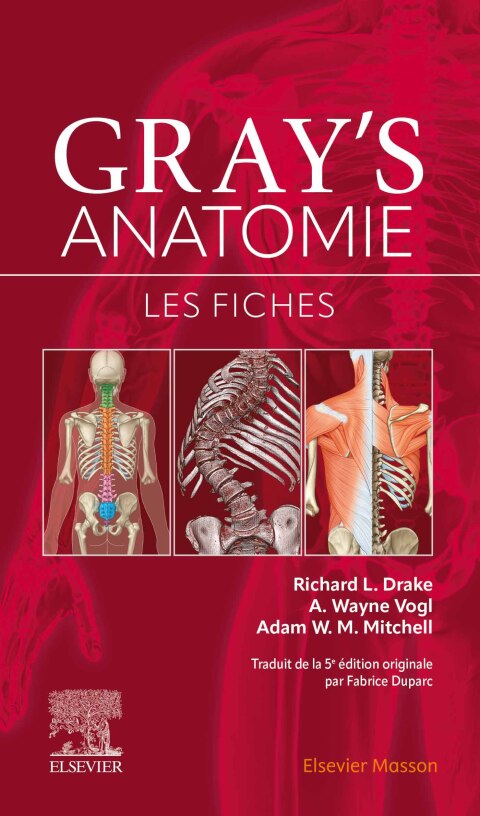 Gray's Anatomie - Les fiches 