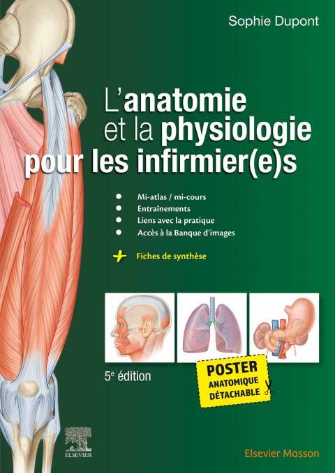Cover image for book L'anatomie et la physiologie pour les infirmier(e)s