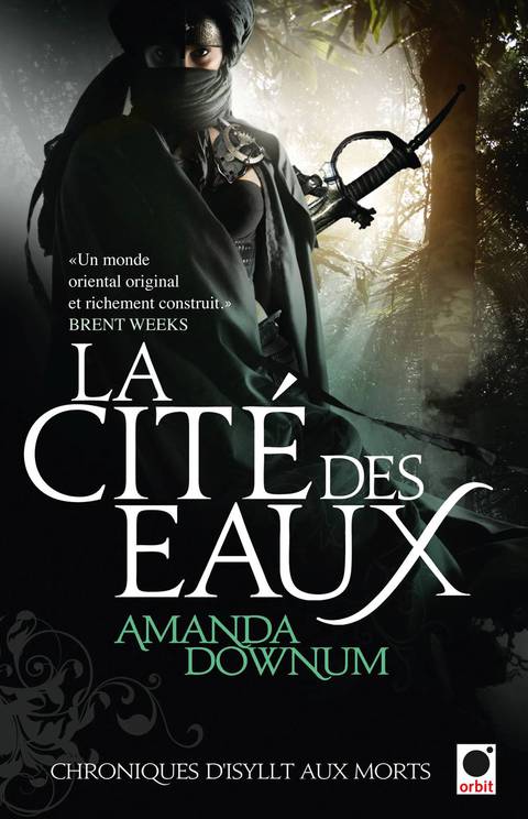 Cover image for book La Cité des eaux, (Chroniques d'Isyllt aux Morts*)