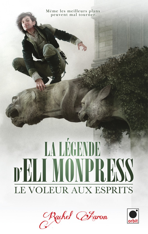 Cover image for book Le voleur aux esprits (La légende d'Eli Monpress*)