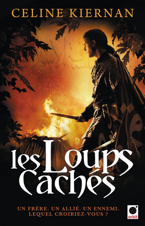 Cover image for book Les loups cachés (Les Moorehawke**)