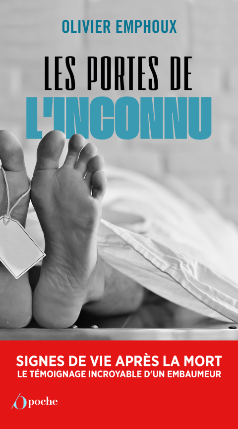 Cover image for book Les portes de l'inconnu