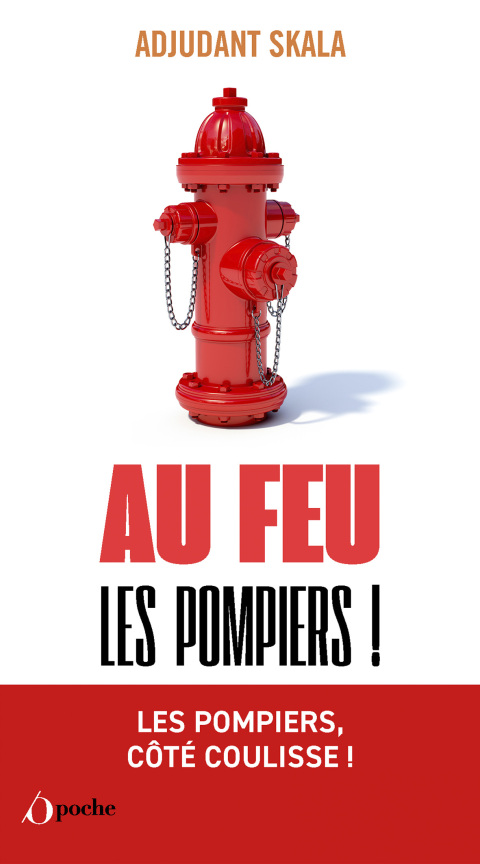 Cover image for book Au feu les pompiers !