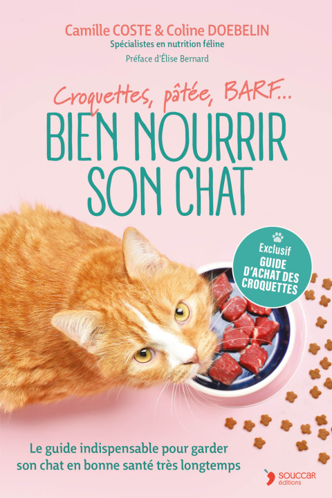 Cover image for book Bien nourrir son chat