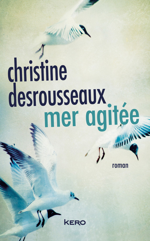 Cover image for book Mer agitée