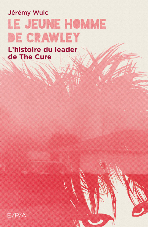 Cover image for book Le jeune homme de Crawley