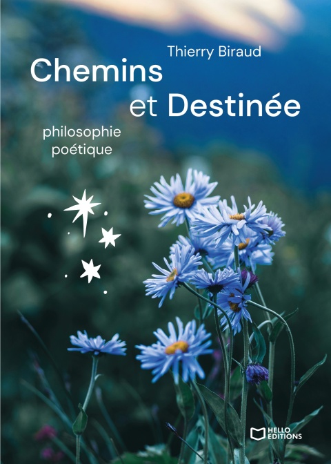 Cover image for book Chemins et Destinée